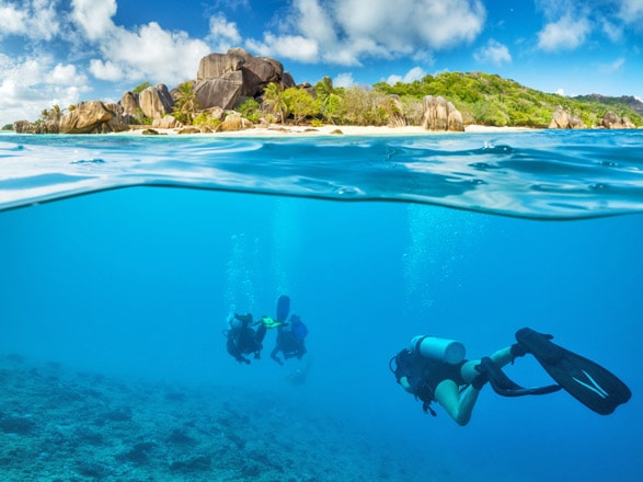 Seychelles (Aldabra)