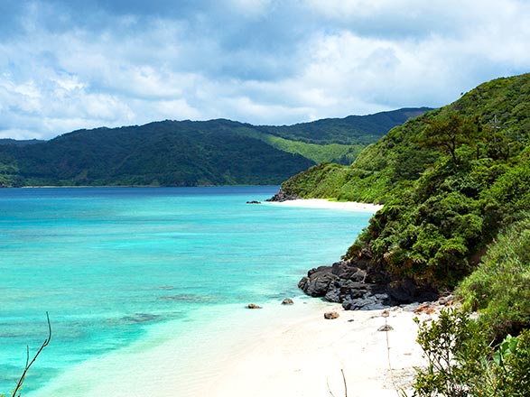Japon (Amami-Oshima)