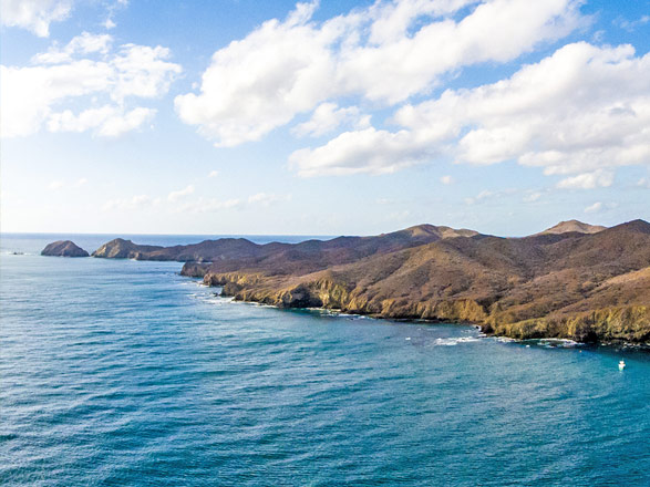 Mexique (Bahia Magdalena)