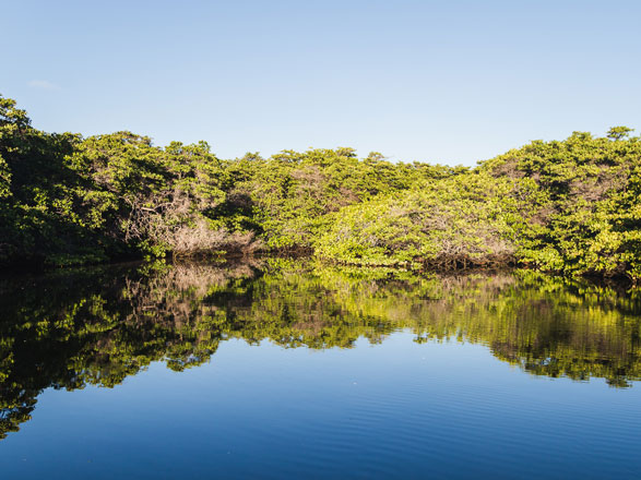 Iles Galapagos (Baltra)