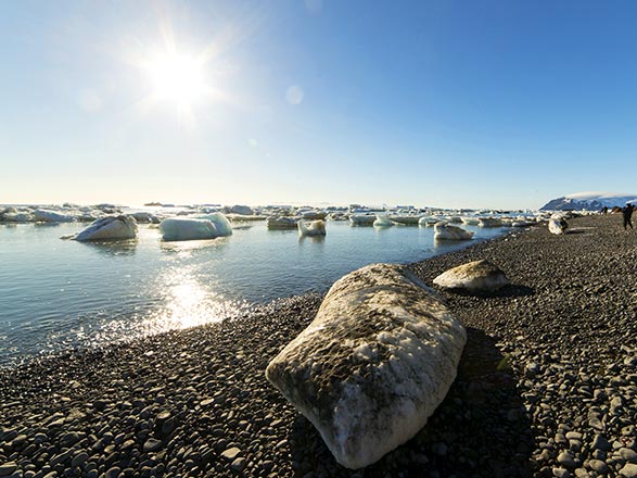 Croisière escale à Brown Bluff (Antarctique)