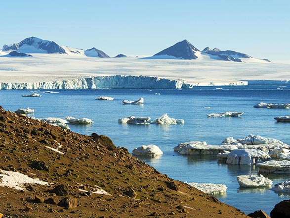 Croisière escale à Brown Bluff (Antarctique)