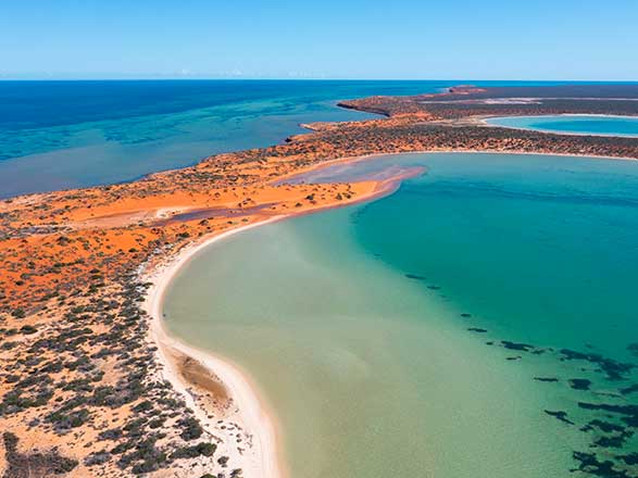 Australie (Cap Péron)