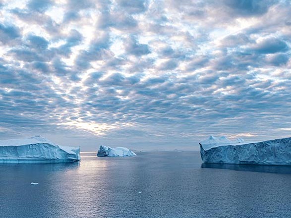 Antarctique (Détroit Antarctic)