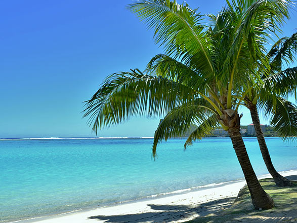 Micronésie (Guam)