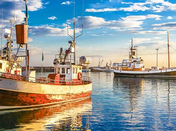 Croisière escale à Husavik