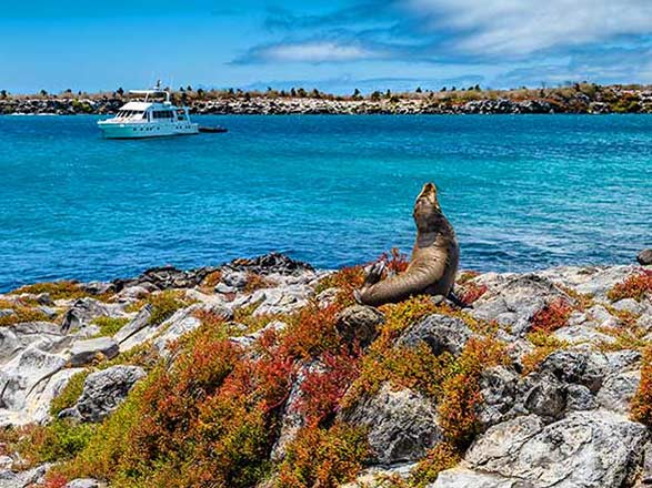 Iles Galapagos (Ile Bartholomée)