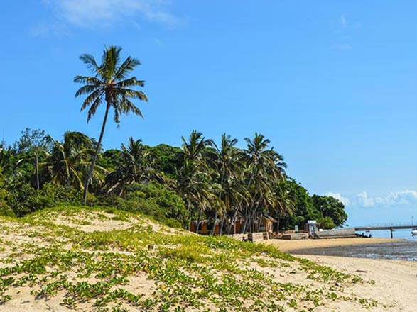 Mozambique (Ile Portugaise)