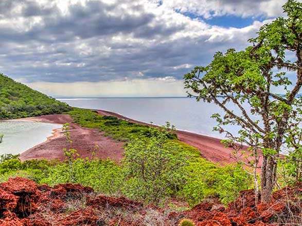Iles Galapagos ( Ile Rabida)