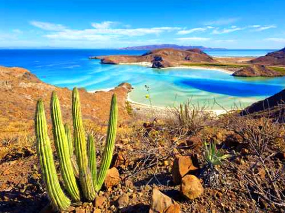 Mexique (La Paz)