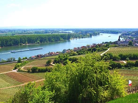 MONS
