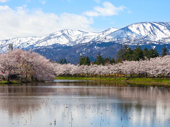 Japon (Niigata)