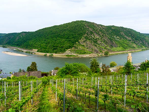 Escale Oberwesel