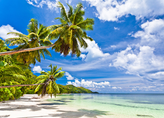 Seychelles (Praslin)