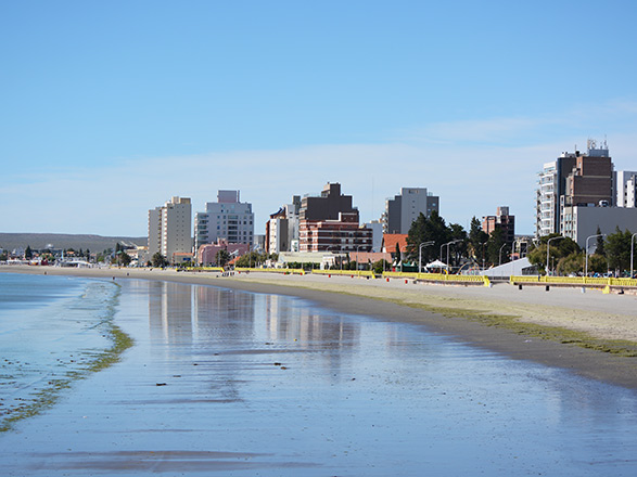 Argentine (Puerto Madryn)