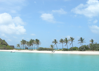 Iles Grenadines (Tobago Cays)
