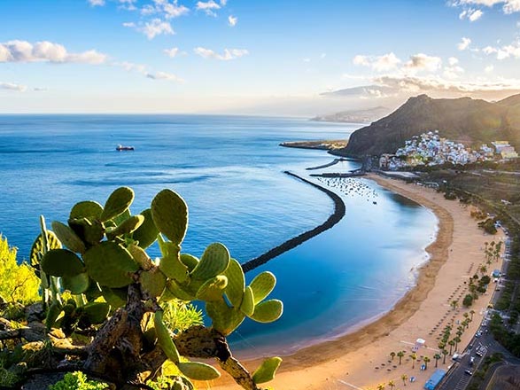 Iles Canaries (Santa Cruz de Tenerife)