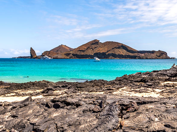 Iles Galapagos (Santiago)