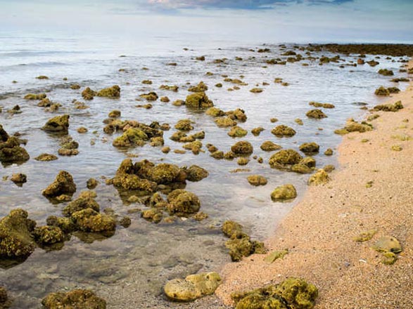 Indonésie (Sumbawa)