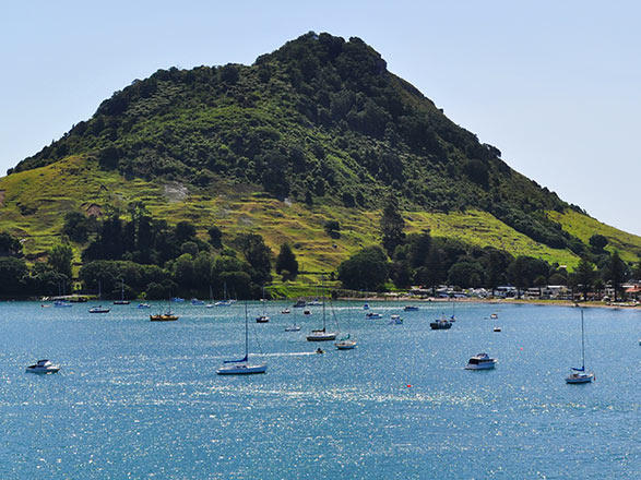 Escale Tauranga