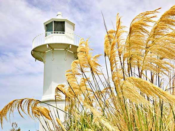 Nouvelle-Zélande (Timaru)