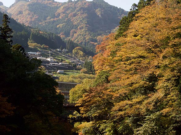 Japon (Tokushima)