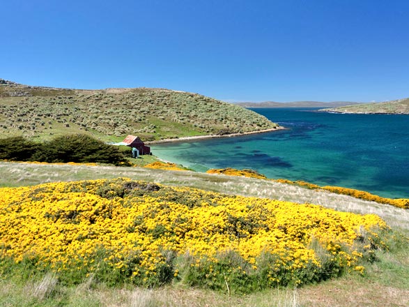 Iles Malouines (West Point)
