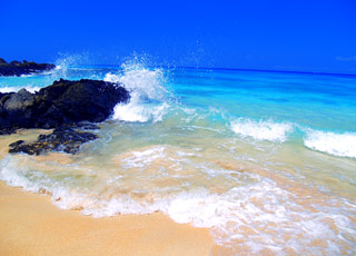 Iles Galapagos (Ile Isabela)
