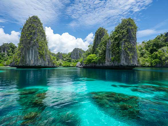 Papouasie-Nouvelle-Guinée (Îles Raja Ampat)