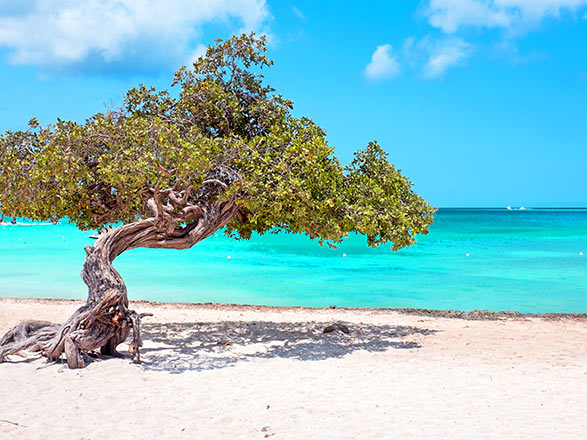Antilles (Aruba)