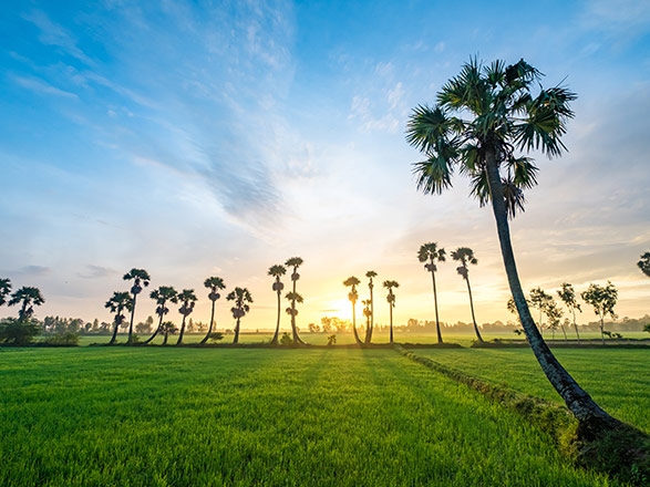CHAU DOC