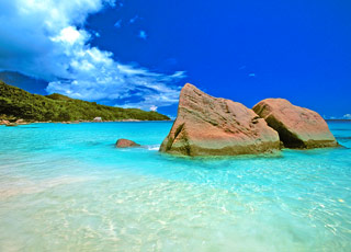 Seychelles (Curieuse)