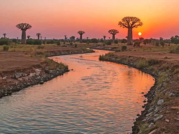  SAINT-LOUIS - DIAMA - TIGUET (PARC DU DJOUDJ)