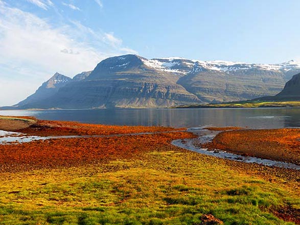 Islande (Djupivogur)