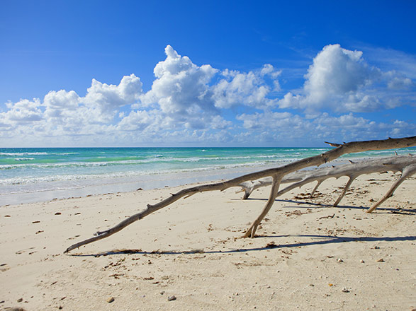 Bahamas (Freeport)