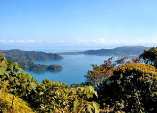 Costa Rica (Golfito)