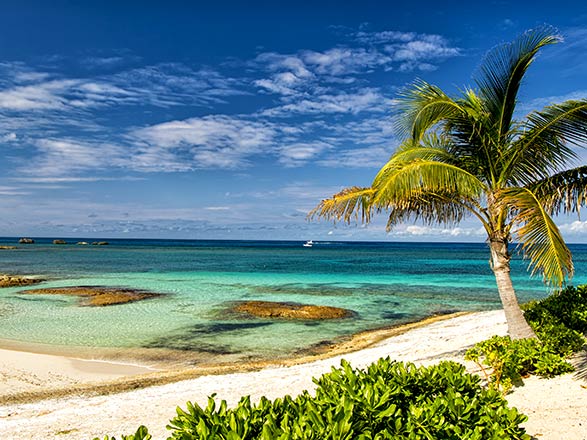 Bahamas (Ile de Grand Bahama)