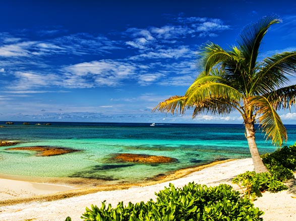 Bahamas (Great Stirrup Cay)
