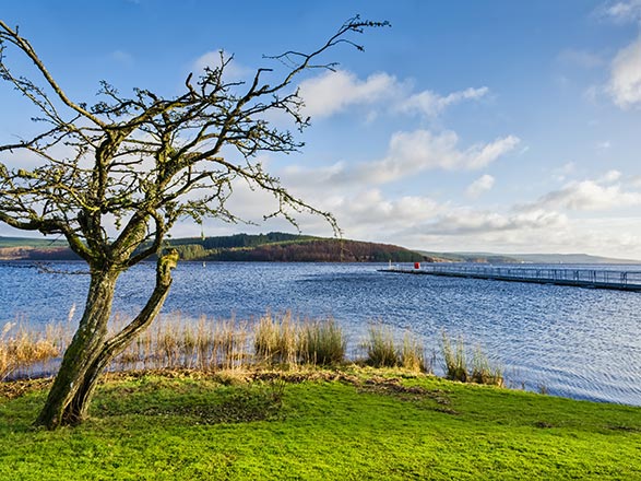 Ecosse (Greenock)