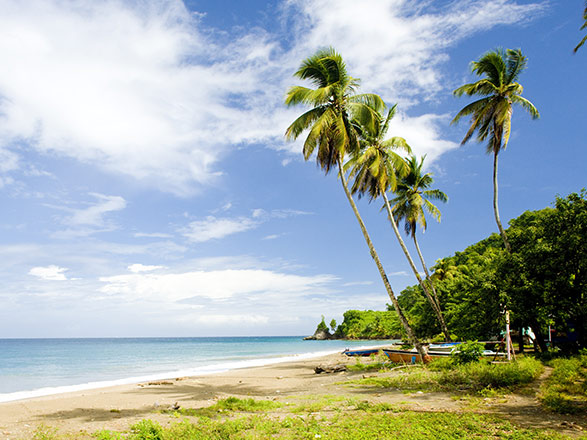 Antilles (Grenade)