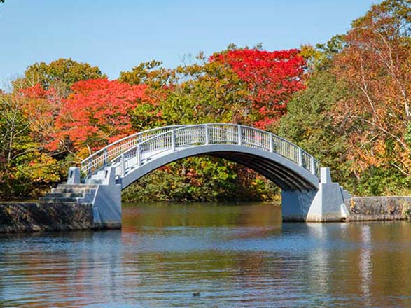 Japon (Hakodate)