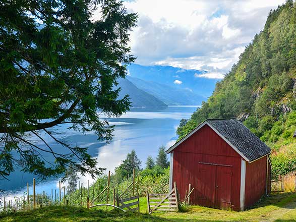 Norvège (Hardangerfjord)