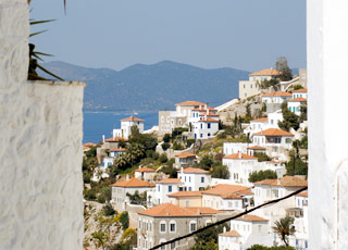 Iles grecques (Hydra)