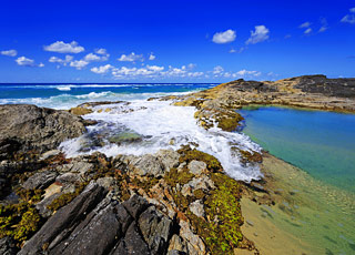 Islande (Ile de Grimsey)