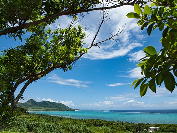 Japon (Ishigaki)