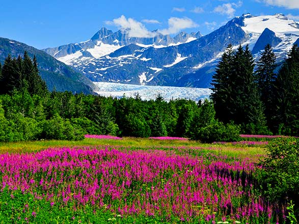 Alaska (Juneau)