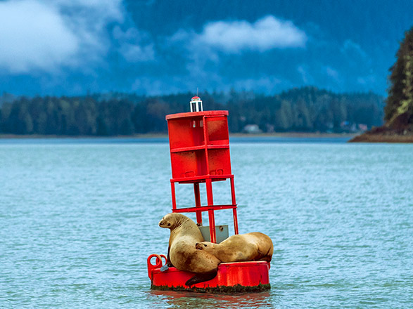 Croisière escale à Juneau