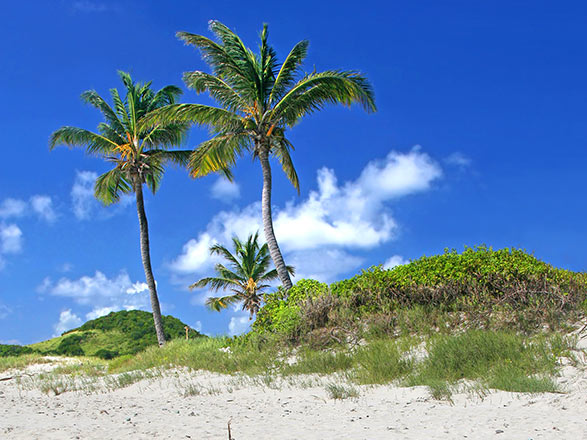 St Vincent et les Grenadines (Kingstown)