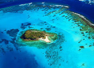 Choix du Capitaine (Iles Grenadine)