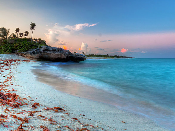 Mexique (Playa del Carmen)